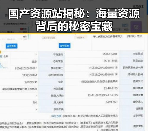 国产资源站揭秘：海量资源背后的秘密宝藏