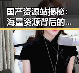 国产资源站揭秘:海量资源背后的秘密宝藏