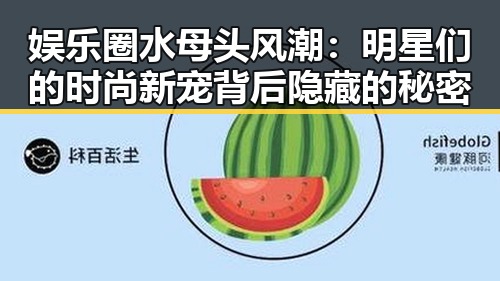 娱乐圈水母头风潮:明星们的时尚新宠背后隐藏的秘密
