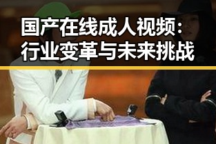 国产在线成人视频：行业变革与未来挑战