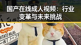 国产在线成人视频:行业变革与未来挑战