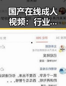 国产在线成人视频:行业变革与未来挑战